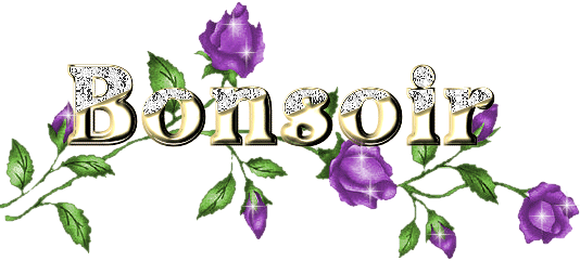 Bonsoir � vous tous mes ami(e)s du net !!